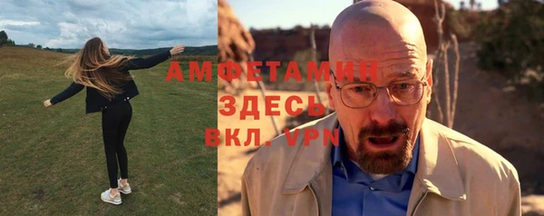 сатива Аркадак