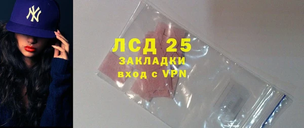 сатива Аркадак
