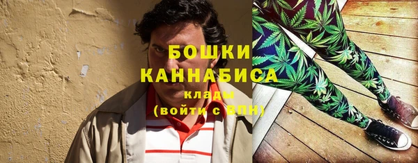 сатива Аркадак