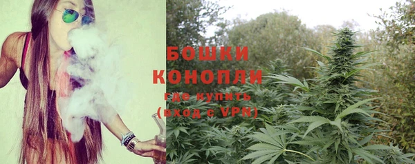сатива Аркадак