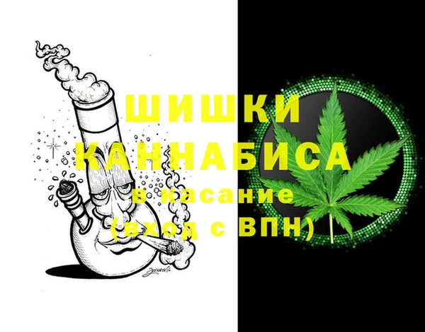сатива Аркадак