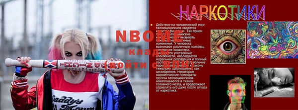 сатива Аркадак